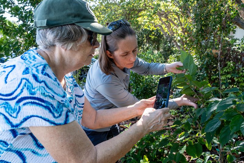 Ecologist Mindi Ogden (right) shows Vicki Ewald how to use the citizen science app iNaturalist to document a plant at a bioblitz on Earth Day April 22, 2026.