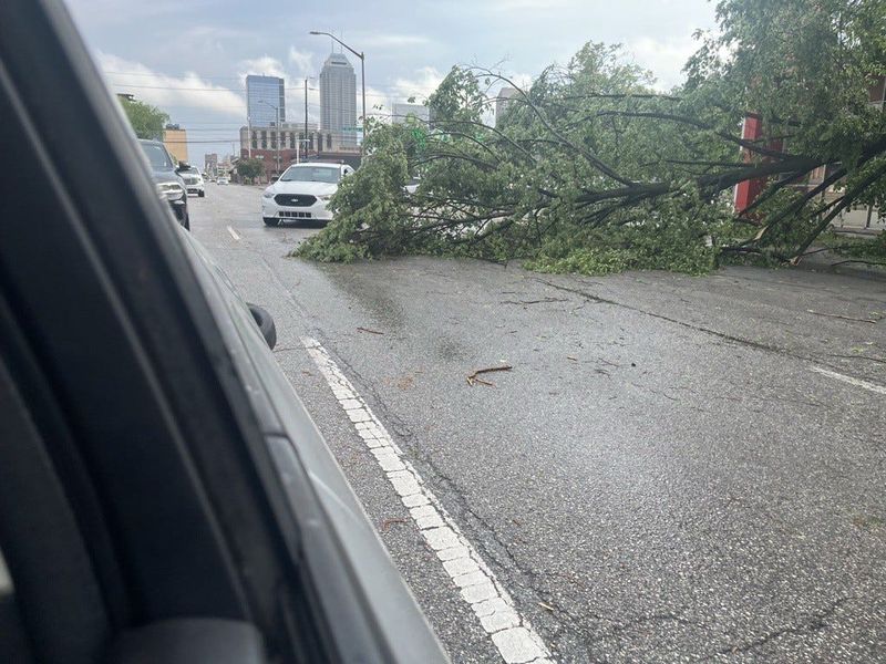 A tree is down at 10th and Delaware in Indianapolis following a storm and brief tornado warning on Friday, April 24, 2026.