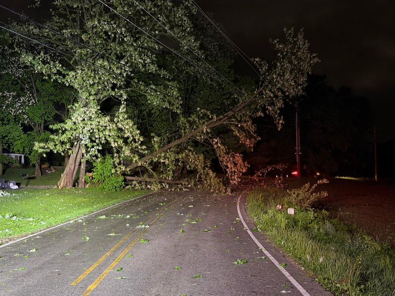 The Madison Township Fire Department responded to several reports of storm damage, including at least two homes where trees fell into them, and large trees blocking roadways, according to a release on April 27, 2026.