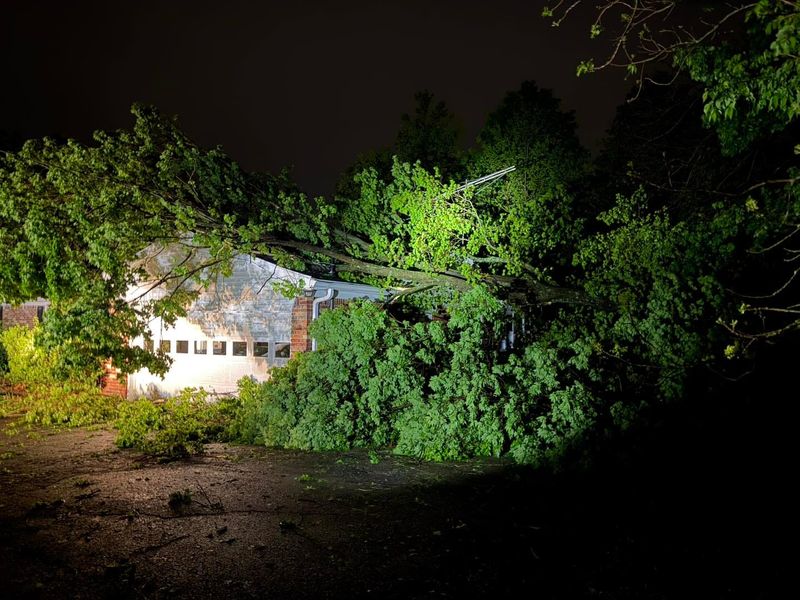 The Madison Township Fire Department responded to several reports of storm damage, including at least two homes where trees fell into them, and large trees blocking roadways, according to a release on April 27, 2026.
