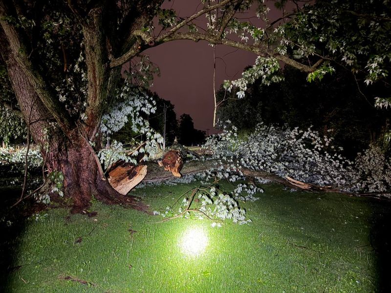 The Madison Township Fire Department responded to several reports of storm damage, including at least two homes where trees fell into them, and large trees blocking roadways, according to a release on April 27, 2026.