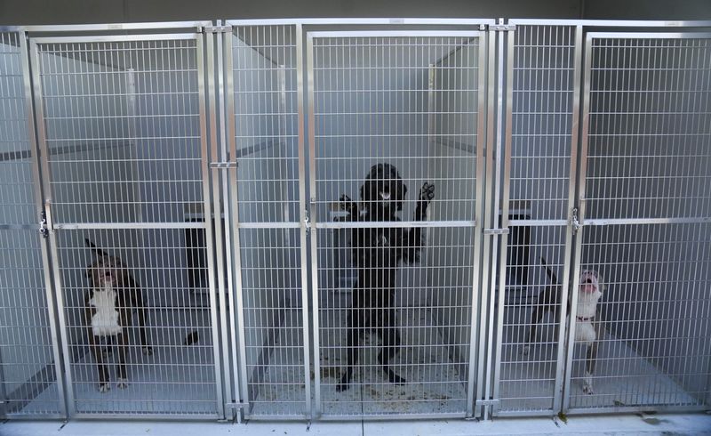 Dogs are housed Wednesday, May 13, 2026, at the new Indianapolis Animal Care Services shelter on the southeast side of Indianapolis.