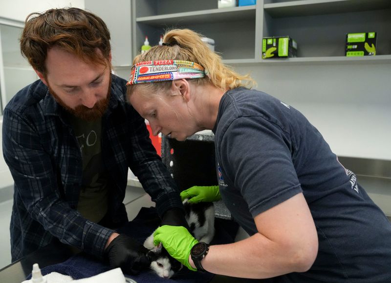 Jim Honea (left) and Dayna Warren (right), both vet assistants, check on a cat in the vet services area Wednesday, May 13, 2026, at the new Indianapolis Animal Care Services shelter on the southeast side of Indianapolis.