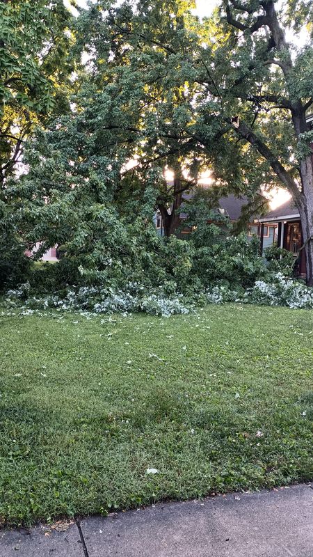 Storm damage can be seen around 8:30 p.m. on June 16, 2026 in Chatham Arch.