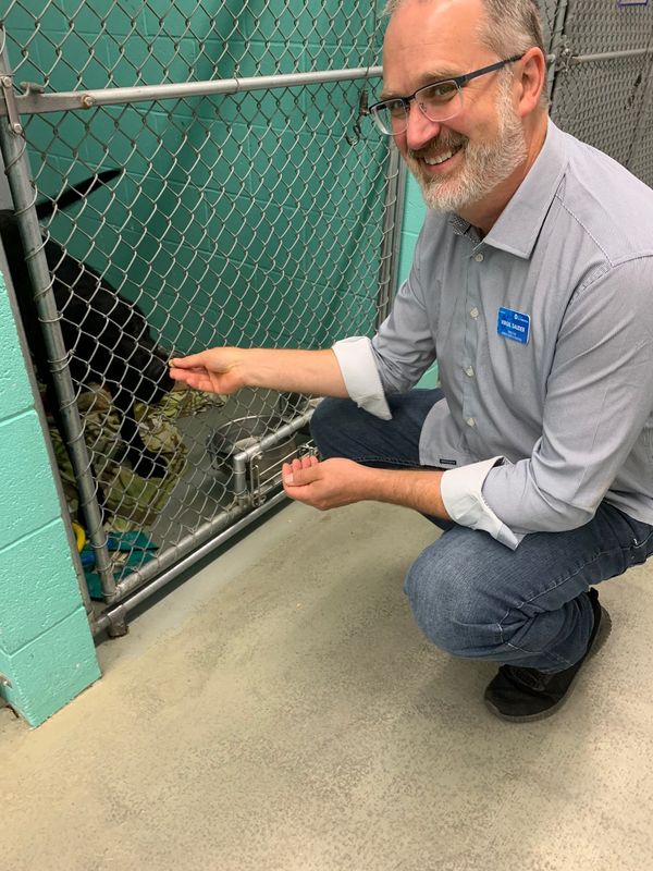 Virgil Sauder, director of Bloomington Animal Care & Control, offers a snack to one of his temporary residents at the shelter on South Walnut Street.