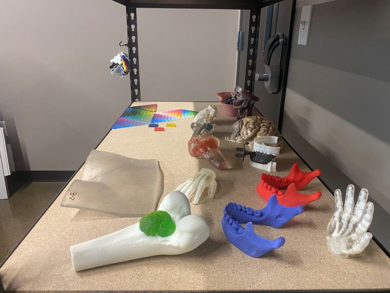 Anatomical models in IU Health's 3D Print Studio, photographed on June 25.