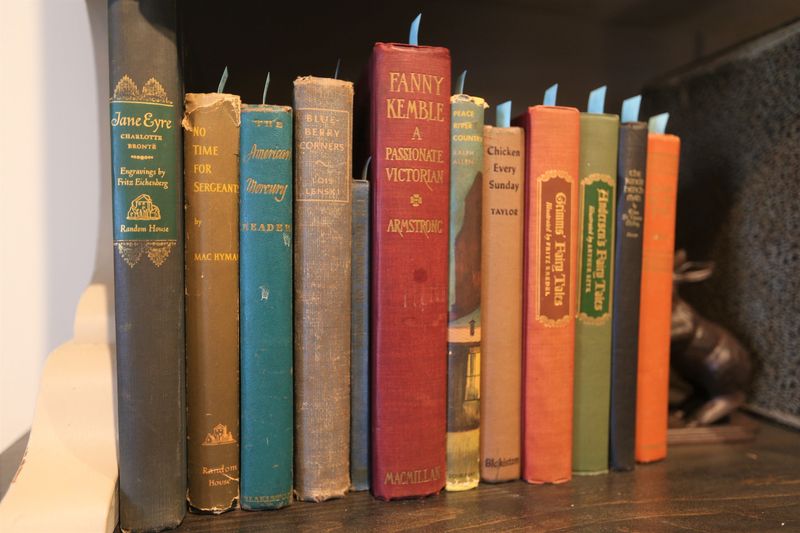 Vintage books at Briar's Edge Bookery on July 7, 2026, in Granger.