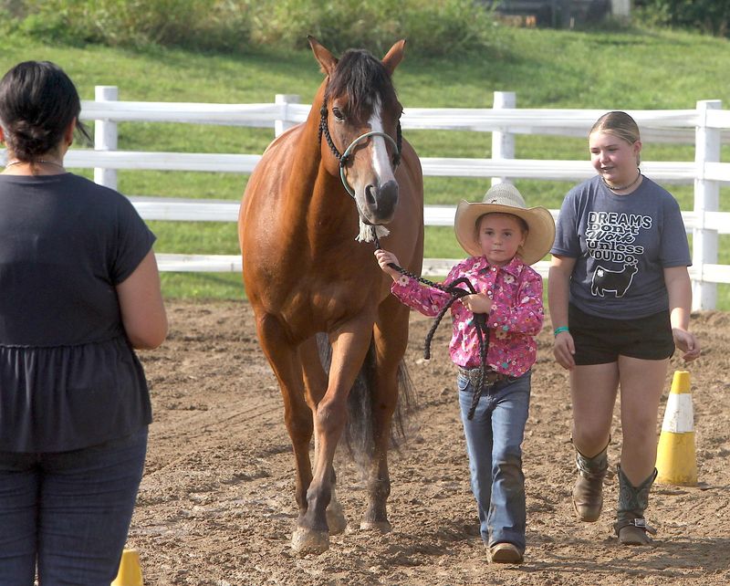 4H member Lynex Myers approaches the judges with Charlie at the Lawrence County Fairgrounds Sunday. Sadie Holler is accompanying Myers, who is competing in the Showmanship Mini Category. The fair started Friday, July 10 with the Dog Agility Show, and will end Saturday July 18 with the 4H Auction. 