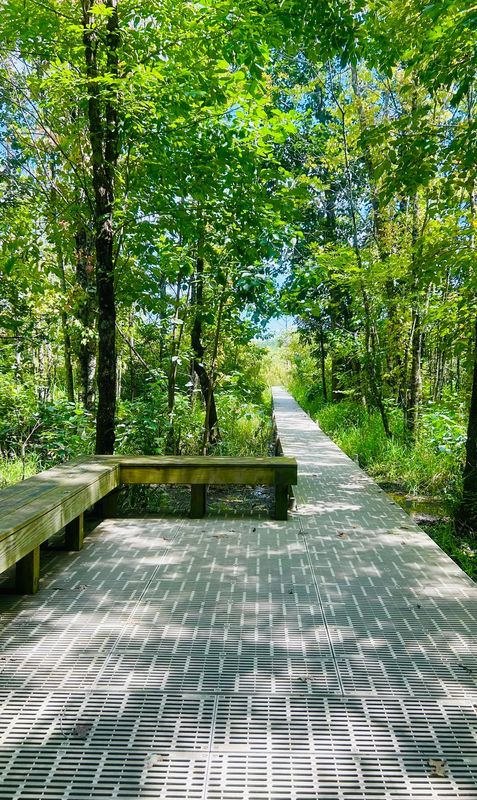 The Boardwalk at Beanblossom Bottoms Nature Preserve