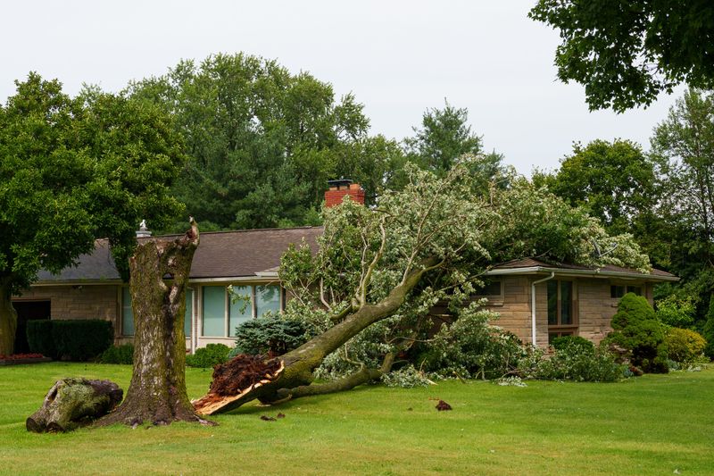 A tree sits on top of a house on Miami Road after a storm on Tuesday, Aug. 11, 2026, in South Bend.