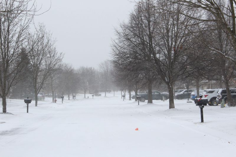 Winter Storm