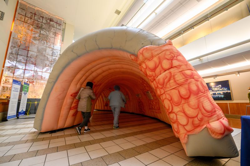 People walk through a 10 foot high, 20 foot long and 12 foot wide inflatable colon sits on display at Corewell Health William Beaumont University Hospital, in Royal Oak, February 28, 2023. The display is to raise awareness of colon cancer and the need for colonoscopies during National Colorectal Cancer Awareness Month.