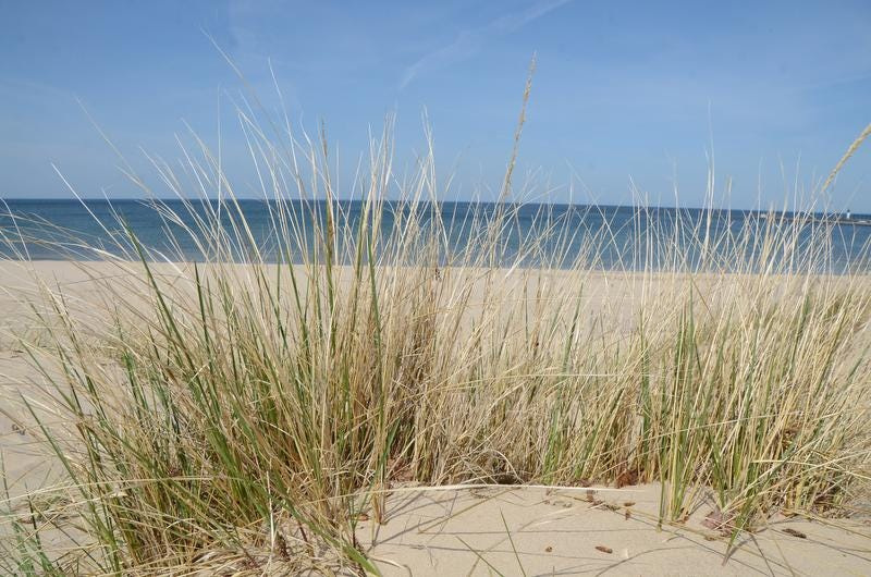 St. Joseph's Silver Beach County Park has sandy lakeshore and playgrounds.