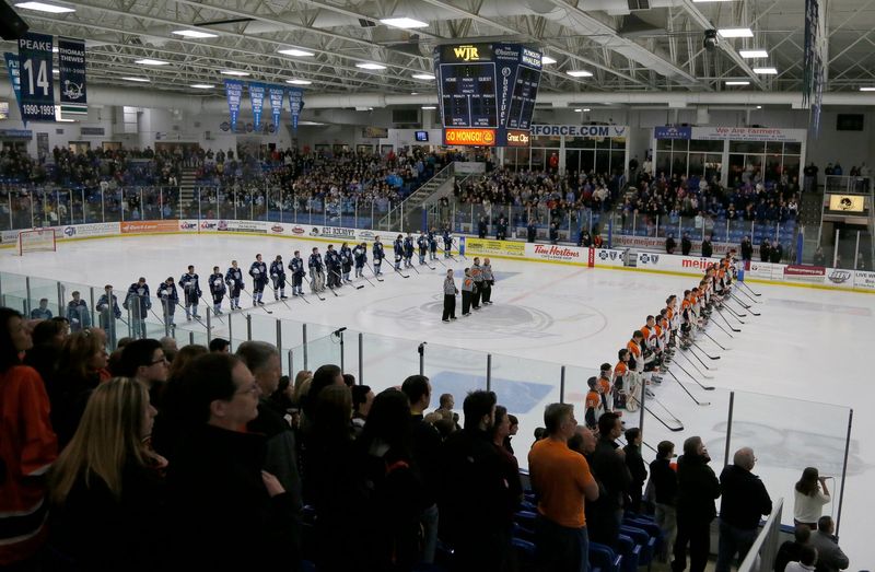 Livonia Stevenson left and Brother Rice line up for the National Anthem before the start of the Michigan high school Division 2 hockey championship March 14, 2015, at Compuware Arena in Plymouth.