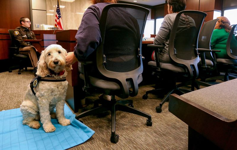 Izzy, a comfort dog, sits next to juvenile Marley, as she sits in front of attorney referee Karen Transit at the Macomb County Juvenile Court in downtown Mt. Clemens on Thursday, December 29, 2019. Izzy is often seen in juvenile court hearings as a stress relief for youth facing attorney referees in various kinds of proceedings.