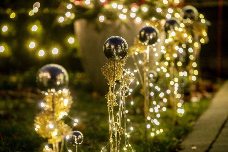 Lights and small globes line the front walk of the holiday display at 1365 Puritan Ave. in Birmingham