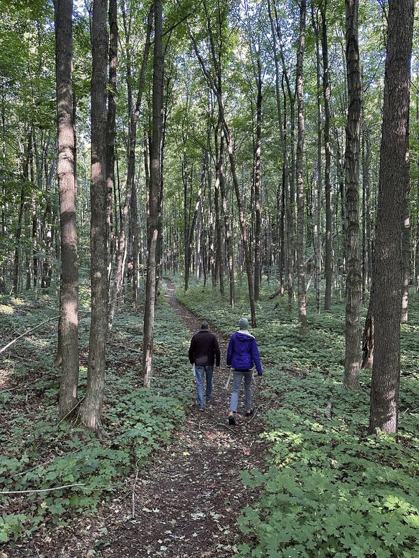 Little Traverse Conservancy naturalist Brad Von Blon will lead a walk around the Seberon “Boo” Litzenburger Nature Preserve on Thursday, June 19, 2025 for people to learn how to identify trees in the region.