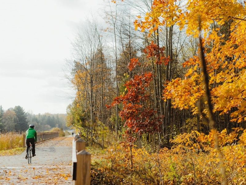 A three-mile extension of the Blue Star Trail is expected in 2027, extending to the southern border of Saugatuck Township.