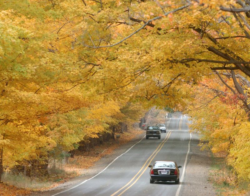 Fall foliage brightens a highway drive, as seen in this October 2015 file photo.