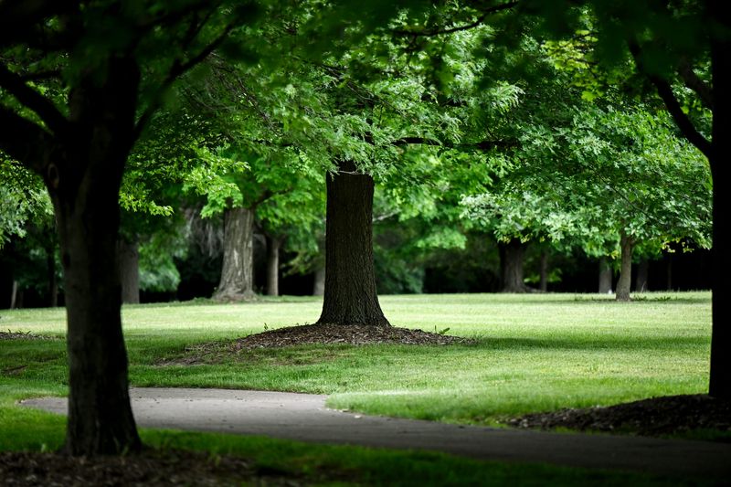 The paved walking path at Frances Park on Saturday, June 8, 2024, in Lansing.