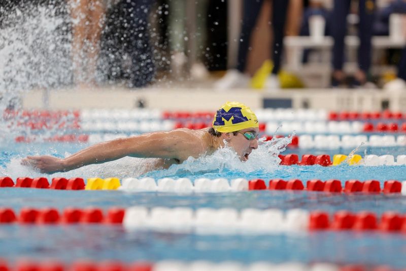 Pinckney's Tyler Ray set six Big Ten swimming records as a senior at Michigan.