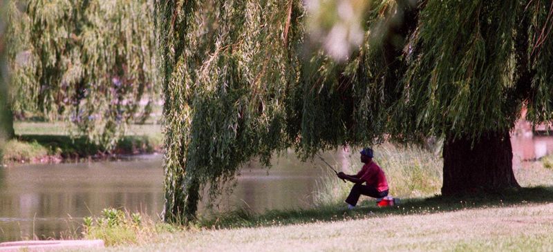 William Lanter, of Detroit, takes in a little fishing while enjoying a summer day on Belle Isle on Aug. 10, 1996, in Detroit.