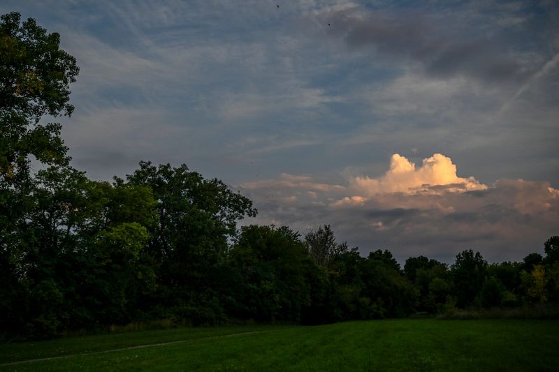 The sun illuminates a cloud in the morning at Dietrich Park on Monday, Aug. 26, 2024, in Lansing.