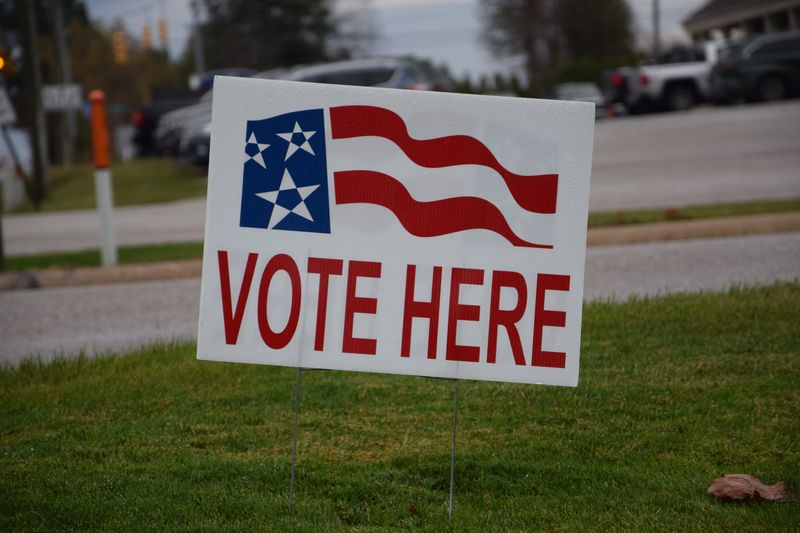 Voters in Charlevoix County had city council candidates and millages to consider in the Tuesday, Nov. 4, 2025 election.