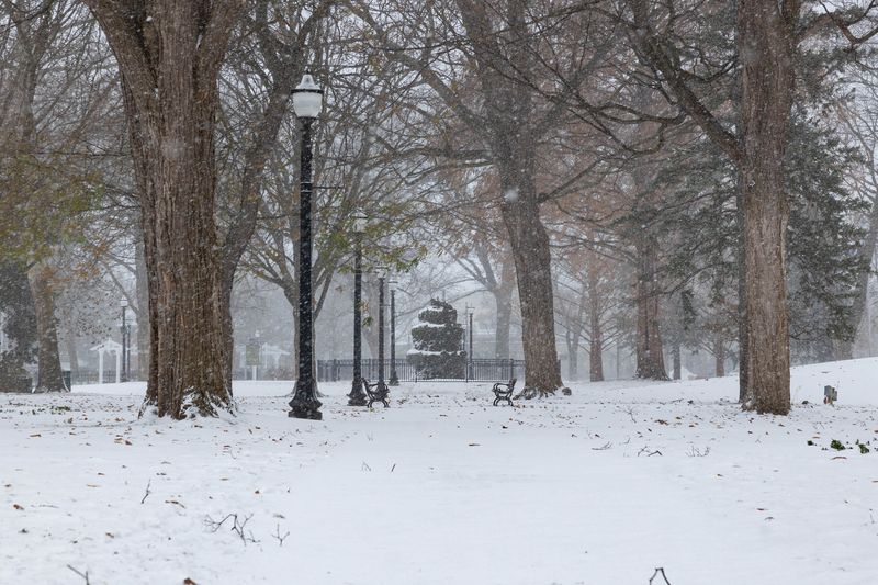 Centennial Park in Holland during a winter storm warning on Thursday, Dec. 5.