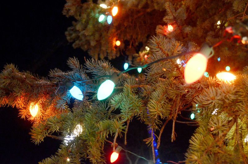 Whether you’re planning to celebrate the season with sleigh rides or sweet hot cocoa, there is plenty happening in Sault Ste. Marie in the days leading up to Christmas.