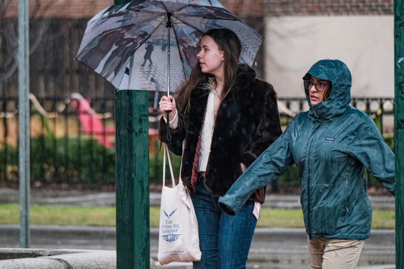 Umbrellas and raincoats are a common sight as rain and gusty winds blanket the Lansing area Sunday, Dec. 29, 2024.