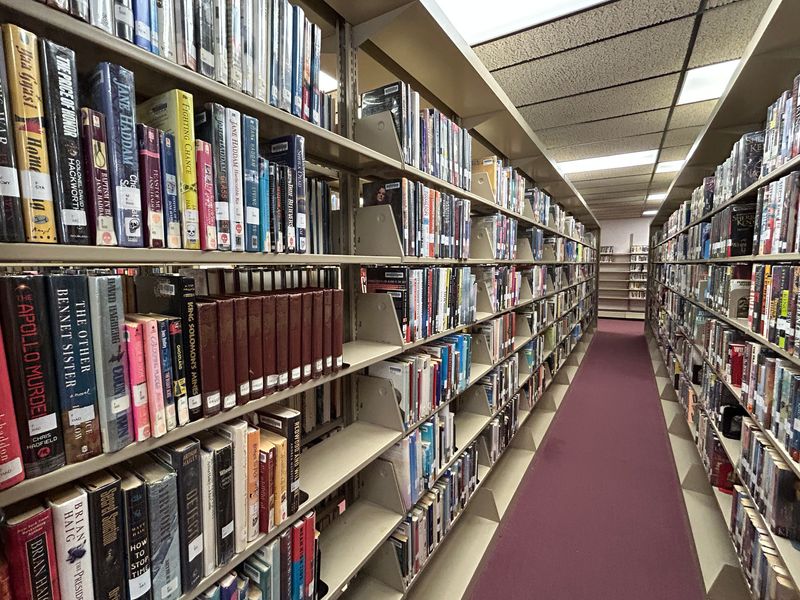 Books line the shelves at the Bayliss Public Library in Sault Ste. Marie.