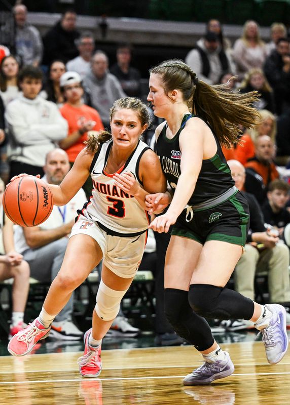 Makayla Schlorf and the Tecumseh girls basketball team won the Division 2 state title last season.
