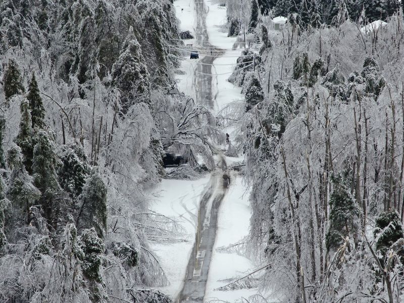 Business owners, homeowners, renters and nonprofit organizations can apply for a loan to cover physical damages from the March ice storm that weren't covered by insurance.