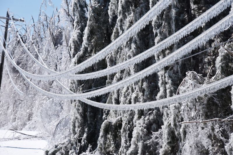 Power lines hang with tons of ice, Tuesday, April 1, 2025 after a severe ice storm shut down most of the eastern upper peninsula and northern lower peninsula Tuesday, April 1, 2025.