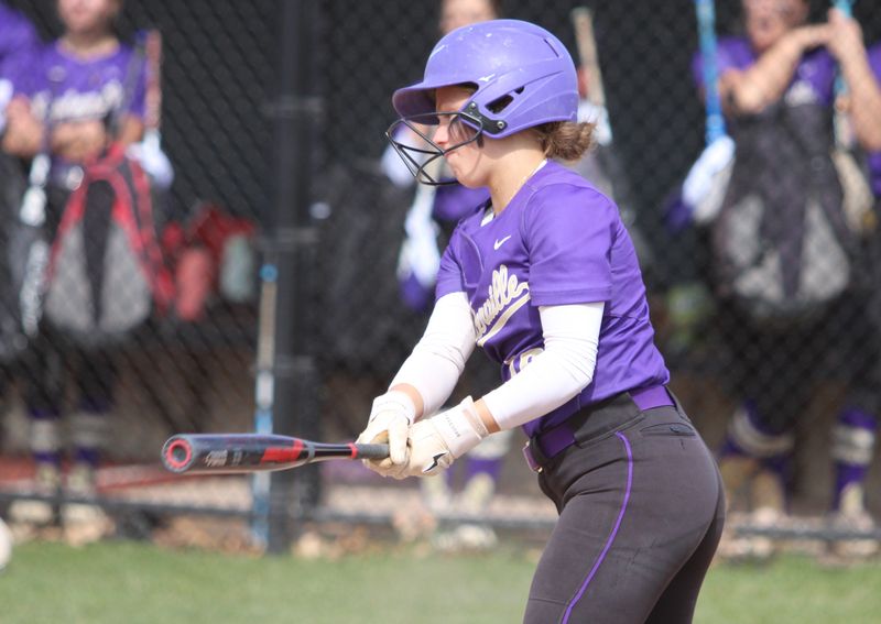 Avery Borg's single in the eighth inning gave Fowlerville a victory over Mason and the CAAC Red softball championship.