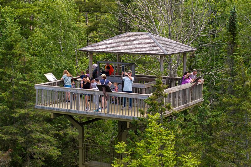 Visitors check out the view from the Treetop Discovery Tower at Historic Mill Creek Discovery Park in Mackinaw City, Michigan, Tuesday, June 25, 2024.