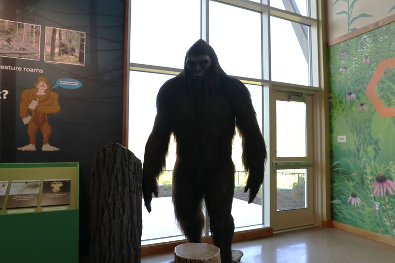 Bigfoot is the mascot of the new Salt Fork Eco-Discovery Center. There are multiple statues of the cryptid around the campus where visitors can take photos. Bigfoot is also the character guide throughout the discovery center that offers environmental information.
