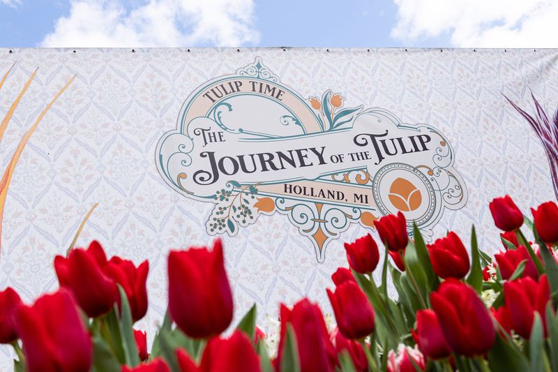 The Tulip Immersion Garden returns in 2026