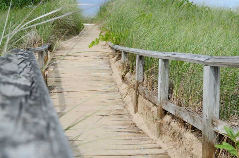 Port Crescent State Park has a network of trails.