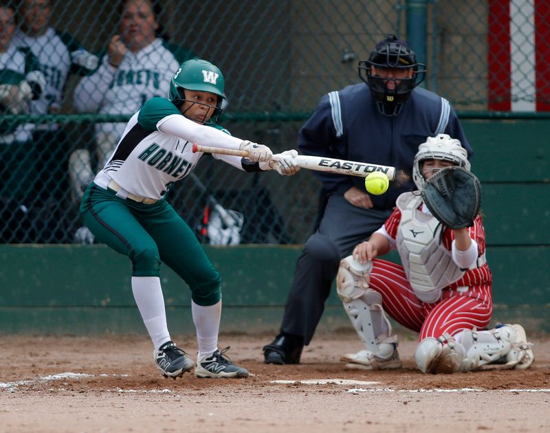 Williamston's Jaiden Griffith bats against Perry, Friday, May 23, 2025, at Ranney Park.