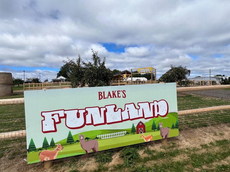 Blake's Funland at the orchard in Lyon Township will feature several attractions this fall, including Jumping Pillows, bounce houses, a 3D barn, corn maze, and petting farm.