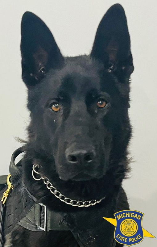 Thor, a Michigan State Police K9