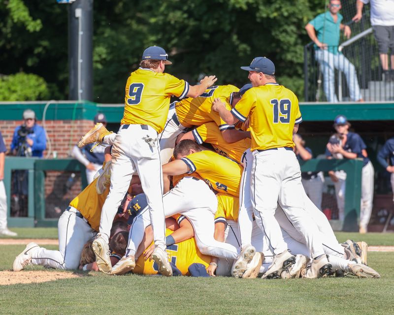 The Hartland celebrates its first state baseball championship since 2015 after defeating Macomb Dakota 5-3 in nine innings Saturday, June 14, 2025 at McLane Stadium in East Lansing.