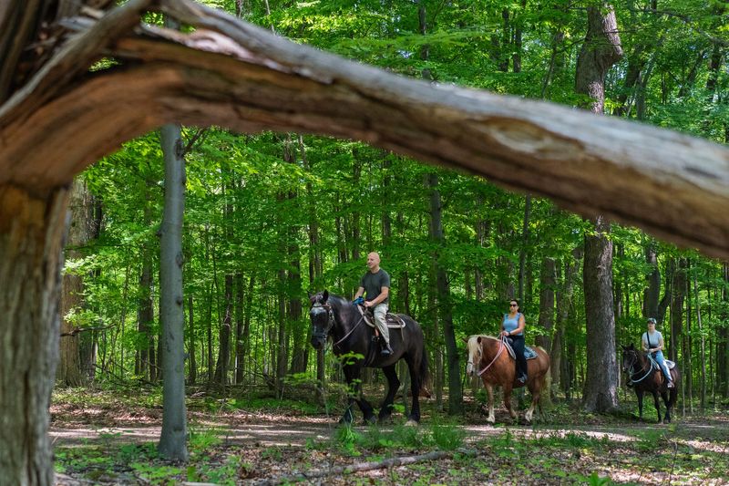 Guests ride horses through the trails near Maybury Stables inside of Maybury State Park in Northville, Michigan on Saturday, June 7, 2025.