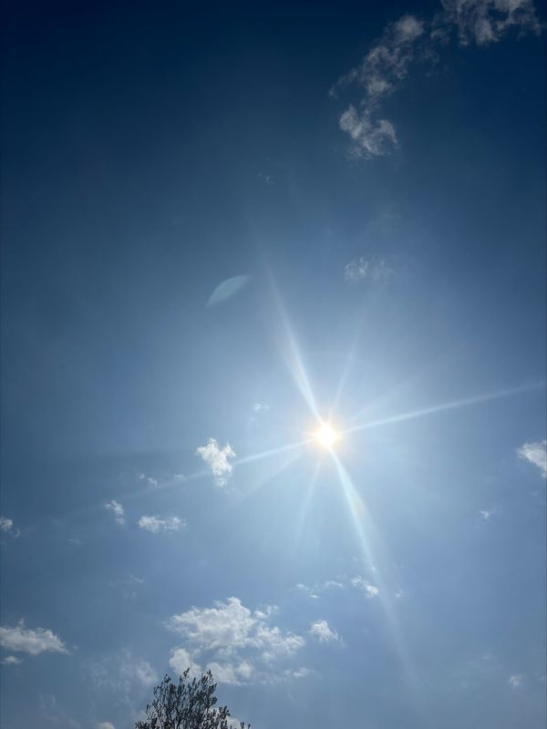 Sunny sky. Photo taken on May 15 in Okemos, Michigan.