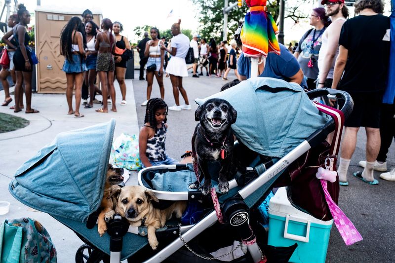 Dogs sit in a stroller among a crowd of hundreds of people walking through Spirit Plaza ahead of the Ford Fireworks on June 23, 2025, in downtown Detroit.