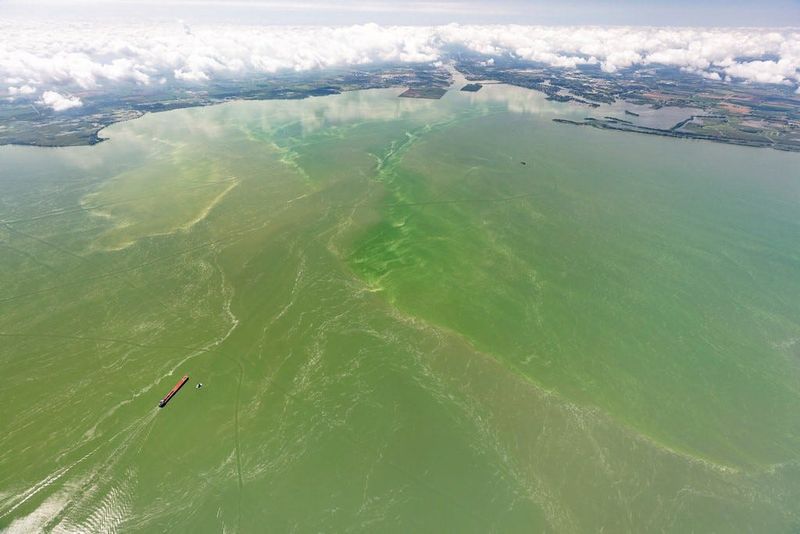 Lake Erie's harmful algal bloom season has nearly arrived.