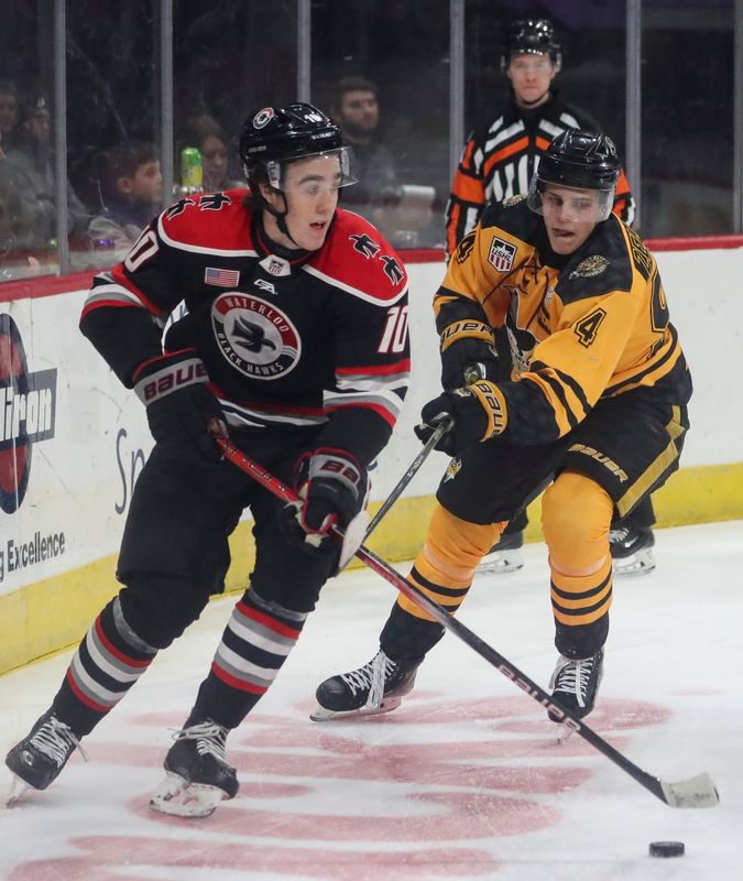 Green Bay Gamblers forward Vasily Zelenov (94) tries to lift Waterloo Black Hawks defenseman Brady Peddleâ€™s (10) stick as they skate behind the Waterloo net on Saturday, January 25, 2025, at the Resch Center in Ashwaubenon, Wis. Waterloo won the game, 6-3.
Tork Mason/USA TODAY NETWORK-Wisconsin