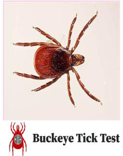 Buckeye Tick Test: Tuck, spray and check - here's a 2025 tick survival ...